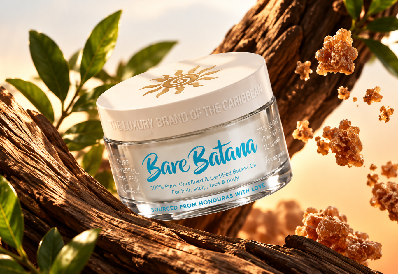 Batana Babes jar resting on driftwood in warm sunlight